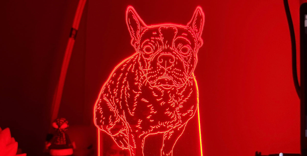 Lámpara Mascota