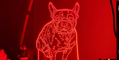 Lámpara Mascota