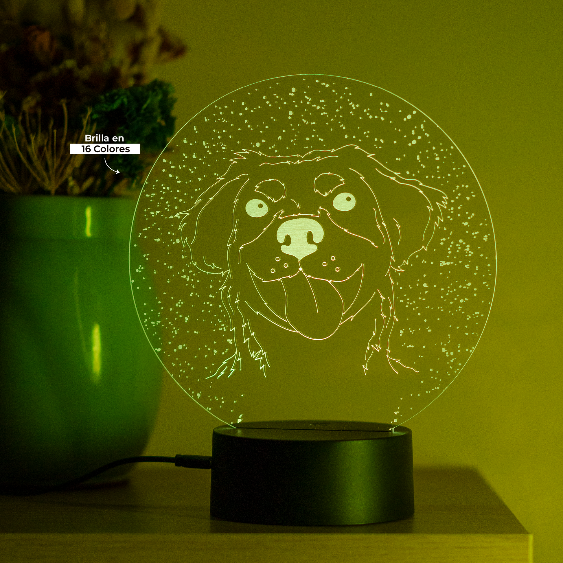 Lámpara LED mascota personalizada vista - One Songs