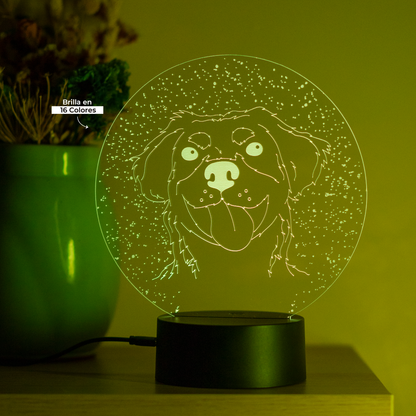 Lámpara LED mascota personalizada vista - One Songs